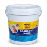 Berger Paints HomeShield Crack Fill Paste – 5 Kg